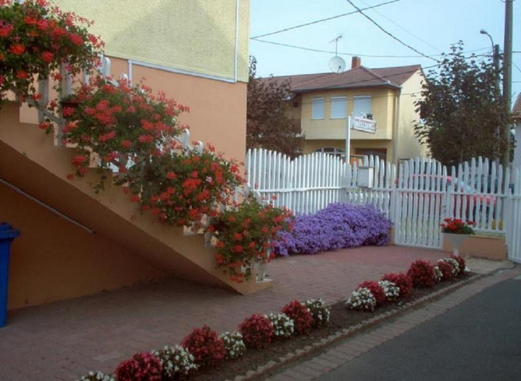 Sarkadi Apartman Hajduszoboszlo Exterior photo